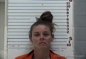 Mugshot of TIFFANY BOHON