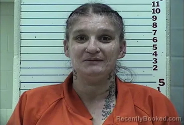 Mugshot of JAMIE LYNN BRANDON