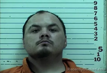 Mugshot of MICHAEL JAMES FERGUSON