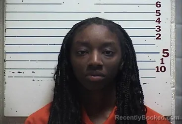 Mugshot of JORDON JANAEI MERRITT