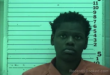 Mugshot of DEJARNETTE DEMETRIA AUSHAE ANDERSON