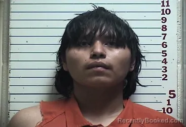 Mugshot of TERRENCE ELIJAH WERYACKWE