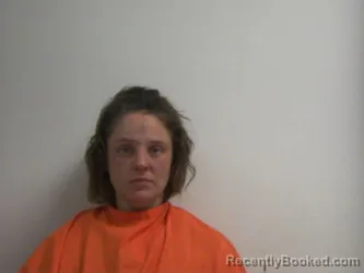 Mugshot of MEGHAN RYAN MCDONNELL