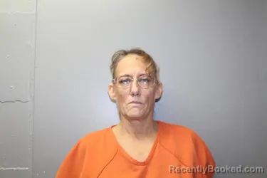 Mugshot of DONNA GAIL BROWN