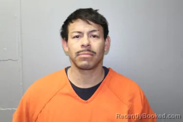 Mugshot of GUADALUPE SOLIS GALVAN