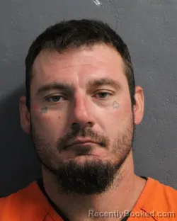 Mugshot of JOSHUA LEE MERCER