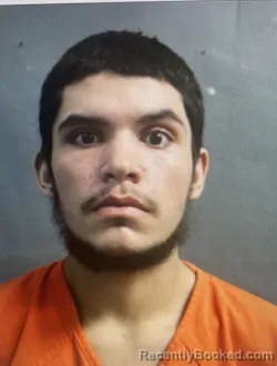 Mugshot of KREEDON SUMMERFIELD