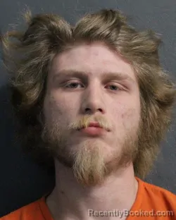 Mugshot of BRETT DARREN GOINS