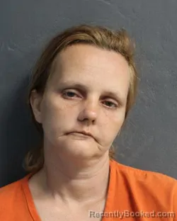 Mugshot of DANYLE NICHOLE WILSON