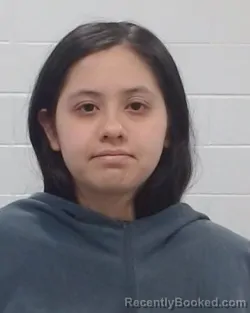 Mugshot of Angelina Solis