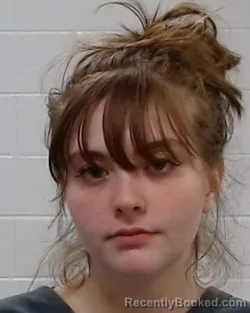 Mugshot of Savannah Alshebli