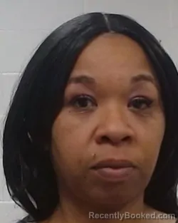 Mugshot of Lawanda Louise Irvin