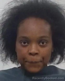 Mugshot of Amber Rose Collins