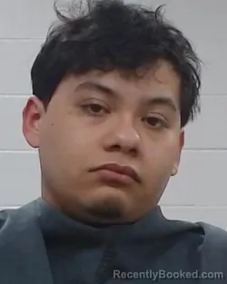 Mugshot of JACKSON OZ ERWIN