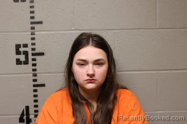 Mugshot of SUMMER JANNINE BROWN