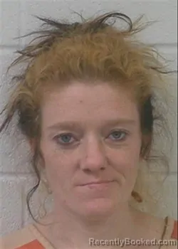 Mugshot of HEATHER LORRAINE HOWARD