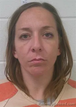 Mugshot of BRITNEY MICHELLE DONAHO