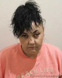 Mugshot of MELISSA VILLARREAL