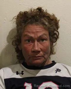 Mugshot of CRYSTAL DAWN VANTINE