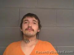 Mugshot of TIMOTHY` LEE ARNEECHER