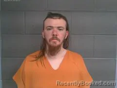 Mugshot of LEVI ANDREW FAHEY