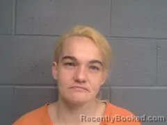 Mugshot of TAMMIE DAWN HARRIS