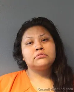 Mugshot of BRITTANYE LYNDON MARIE RICHARDS