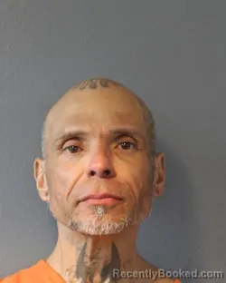 Mugshot of BRIAN WAYNE WATKINS