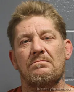 Mugshot of DONNIE R PARKS