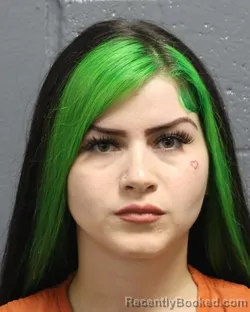 Mugshot of DESHYLA SUE RODRIGUEZ