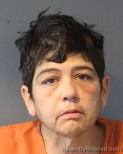 Mugshot of DEEANNA LYN SMITH