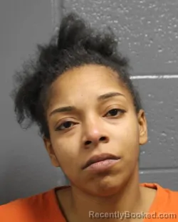 Mugshot of DANASIA SHENAE TURNER