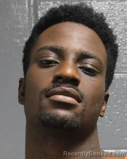 Mugshot of DARYL FONZEL WILLIS