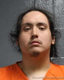 Mugshot of DOMINIQUE JEAN WILCOXSON