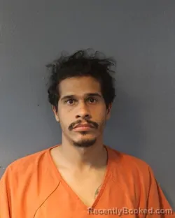 Mugshot of ERIC MATTHEW MEADOWS