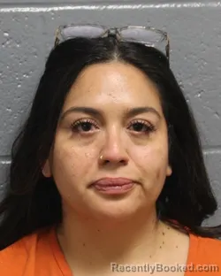 Mugshot of ERICA SANTOS