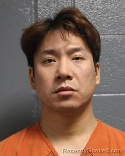 Mugshot of FENG FENG LIU