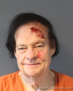 Mugshot of GAIL R PALMER