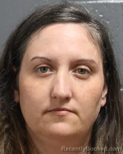 Mugshot of JENNIFER NICHOLE BURKHOLTZ