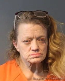 Mugshot of JULIE DANNE CASHEN