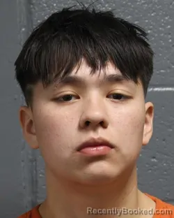 Mugshot of JASMIN FORD