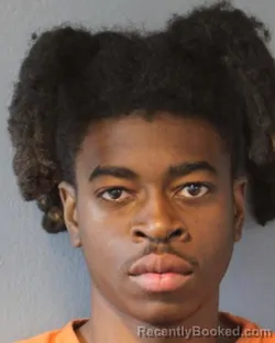 Mugshot of JIBRIN NUHU