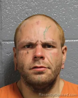 Mugshot of JONAS SONN PENA