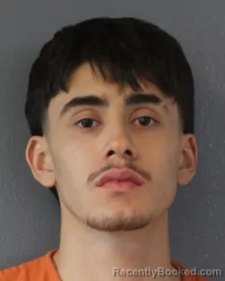 Mugshot of JUAN RAMOS