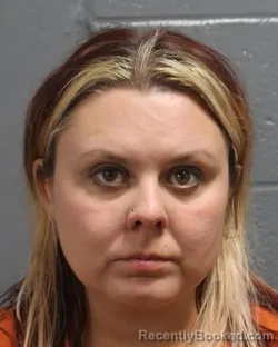 Mugshot of JENNIFER SCHMIDT