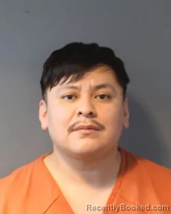 Mugshot of JEOVANI ALEXIS TAPIA