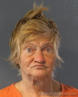 Mugshot of KIMBERLYN EVANS