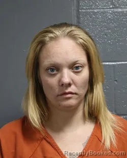 Mugshot of LENNIE E JOHNSON