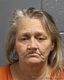 Mugshot of LORI RATLIFF