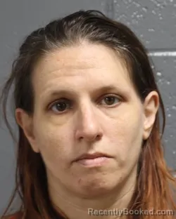 Mugshot of RENEE LYNN JANDREAU